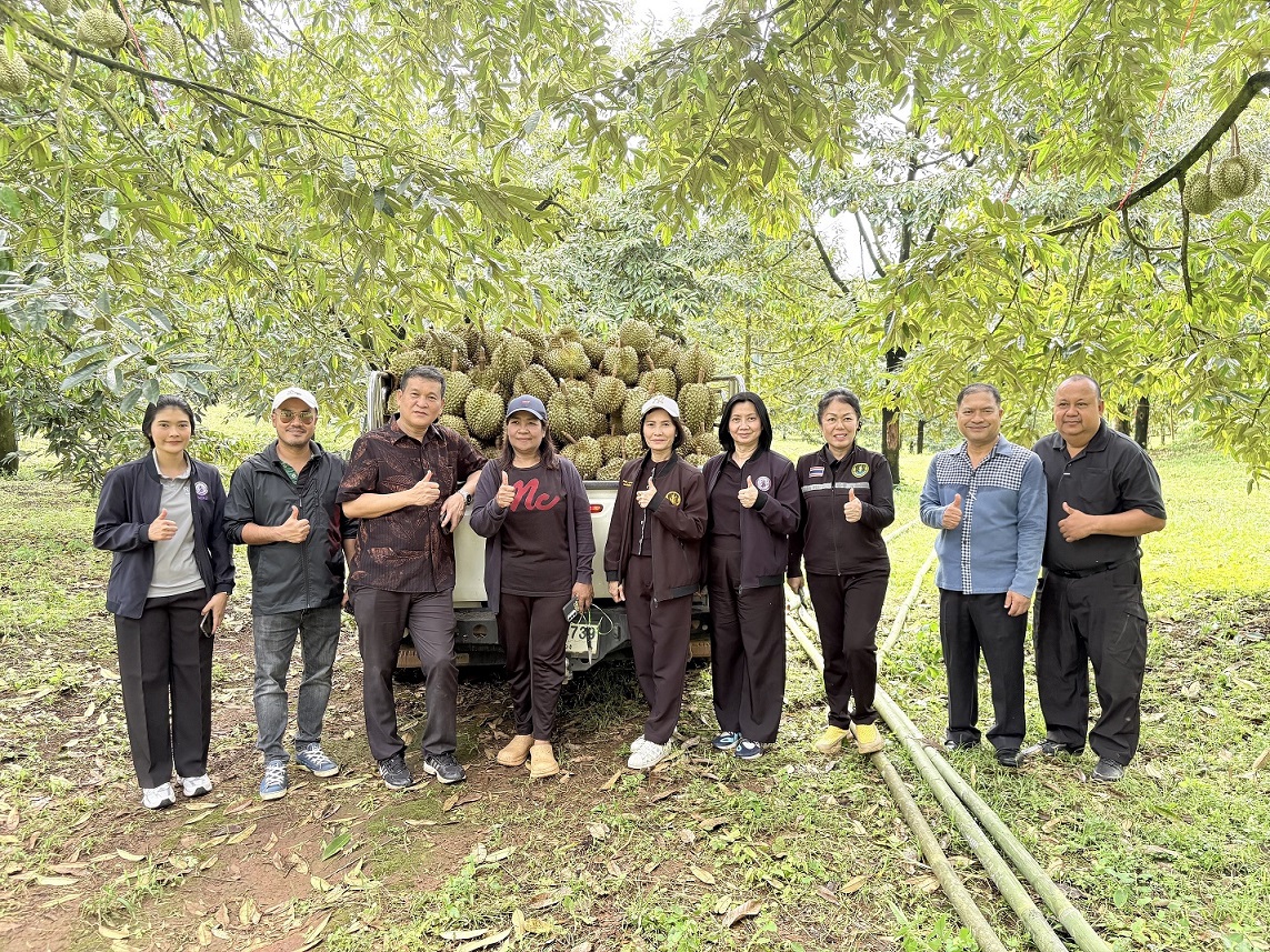 พช.ระนอง บูรณาการลงพื้นที่ร่วมกับคณะทำงานตรวจสอบควบคุมคุณภาพ และแหล่งที่มาของสิ่งบ่งชี้ทางภูมิศาสตร์ (GI) สินค้า “ทุเรียนในวงระนอง” และ “มังคุดในวงระนอง”